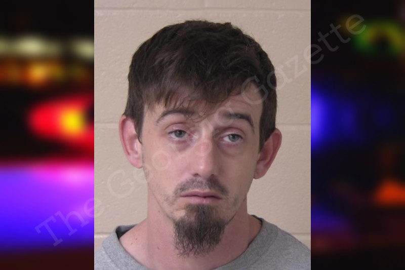 Dillon Kirby Walker County Jail Bookings