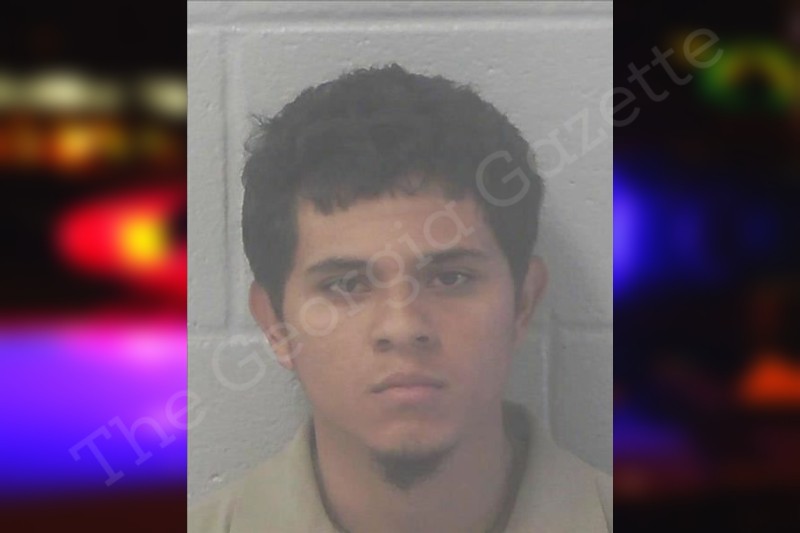 Martin Mendez — Newton County Jail Bookings