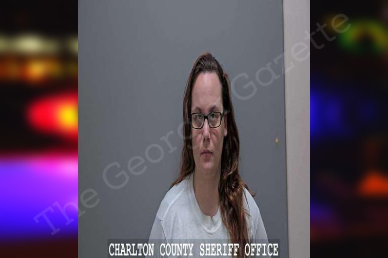 Amber Meadows | Charlton County Jail Bookings