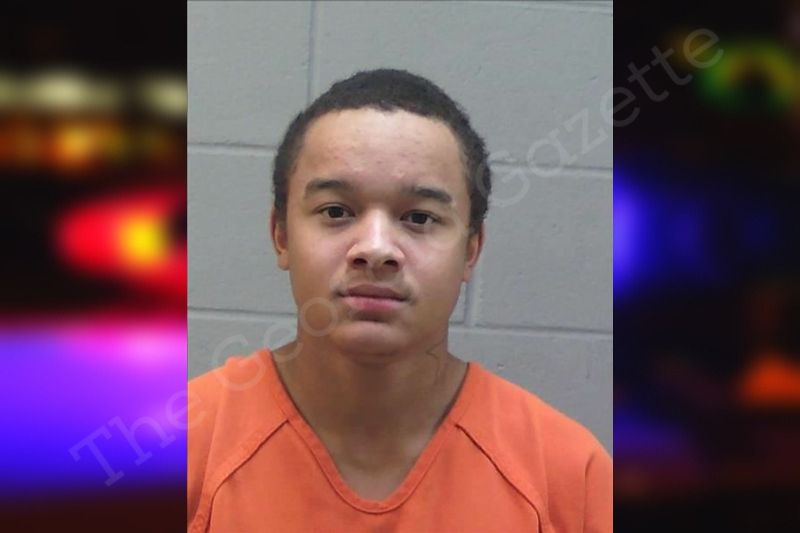 Elijah Norton Madison County