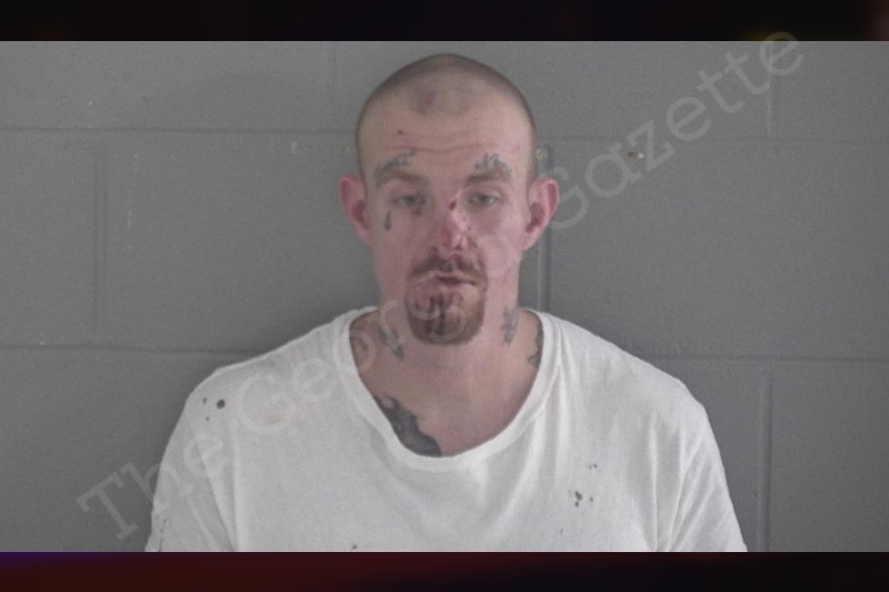 Dillon Phillips Brantley County Jail Bookings