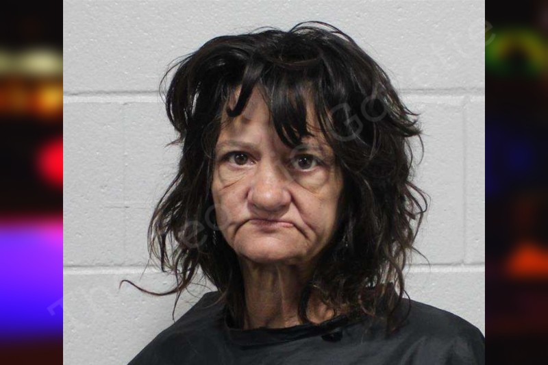 Tracy Saunders Habersham County Jail Bookings