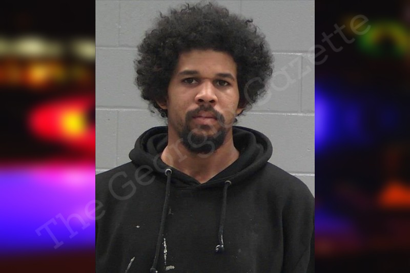 Lewis turner baldwin county jail bookings