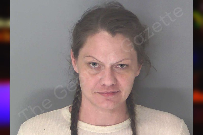 Ashley Welch | Douglas County Jail Bookings