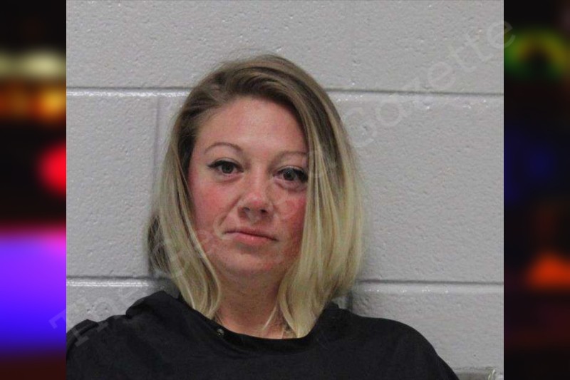 Heather Wilkes | Carroll County Jail Bookings