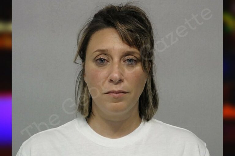 Brittany Miles Bibb County Jail Bookings