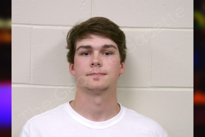 Colby Brown - Bulloch County Jail Bookings