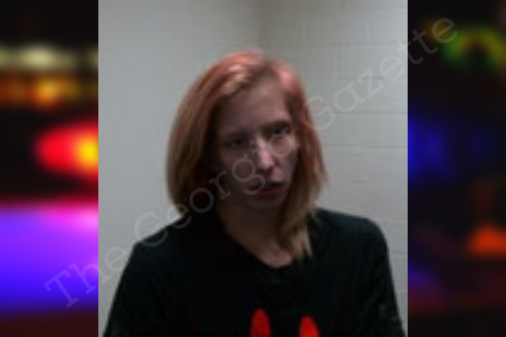 Sarah Brown — Henry County Jail Bookings