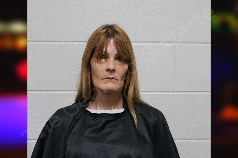 Molly Cheek — Habersham County Jail Bookings
