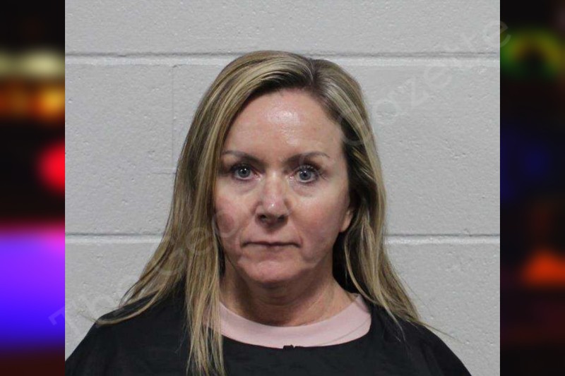 Michelle Colston Habersham County Jail Bookings