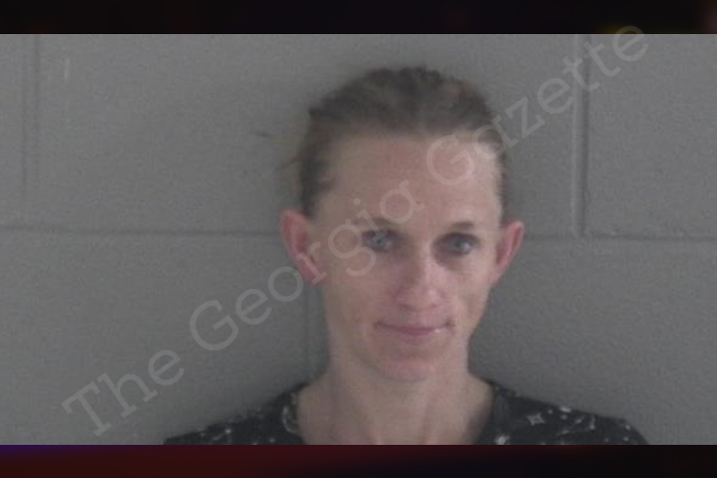 Denise Clark Brantley County Jail Bookings