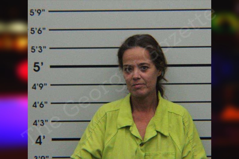 Misty Collins Turner County Jail Bookings 6393