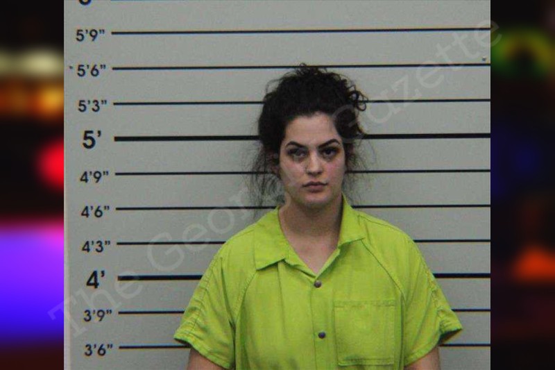 Emily Deville Turner County Jail Bookings