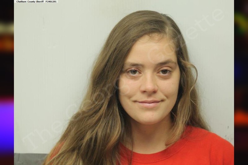 Ansley Donaldson Chatham County Jail Bookings