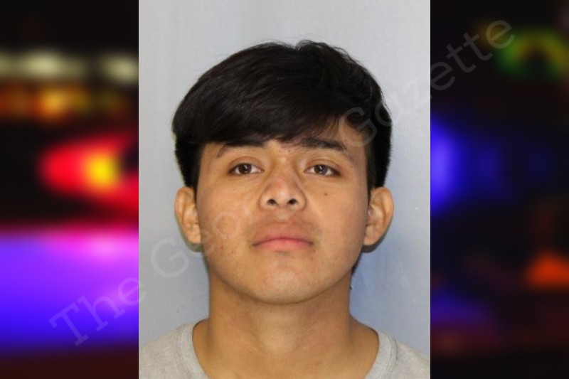 Marcelino Gomez Gomez Hall County