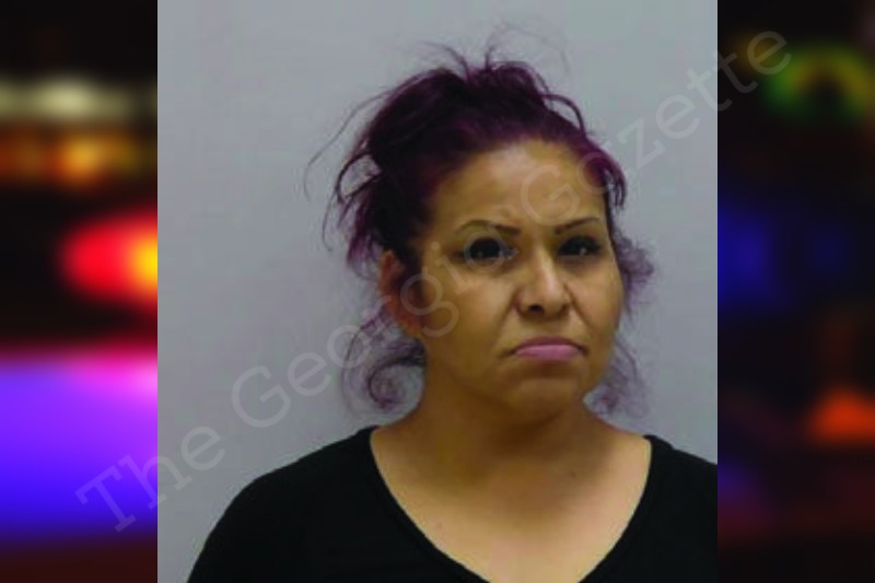 Yasmin Gonzalez Bartow County Jail Bookings