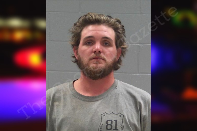 Cody Hayes Baldwin County Jail Bookings