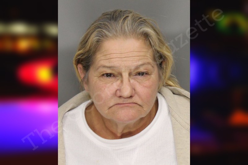 Lisa Howell Cobb County Jail Bookings