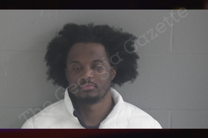 Cameron Howard Brantley County Jail Bookings