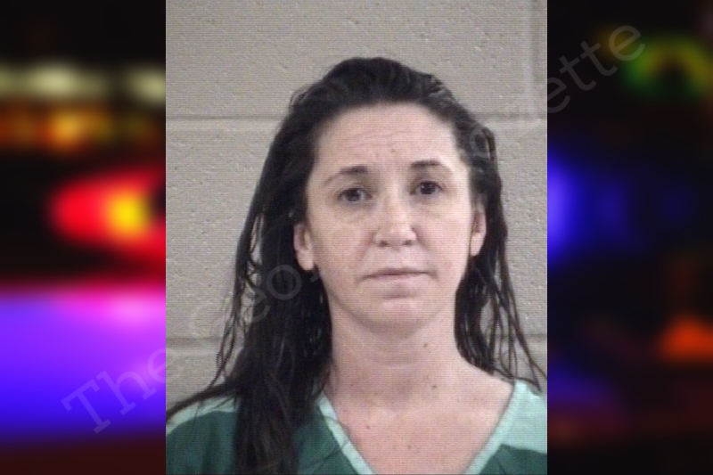 Brittany Ingle — Whitfield County Jail Bookings