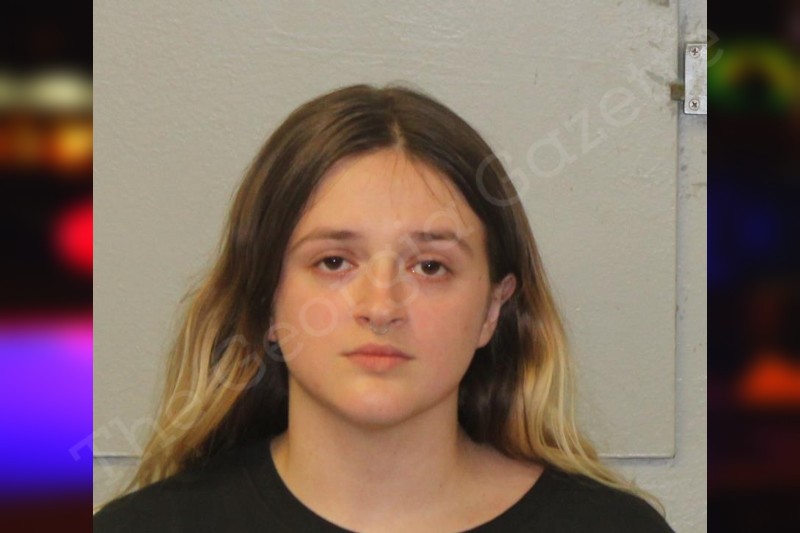 Ava Jean Cash Mcintosh County Jail Bookings