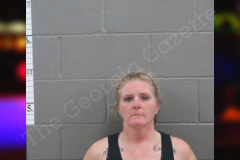 Jessica Todd — Banks County Jail Bookings