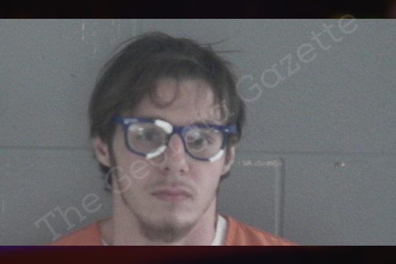 Caled Kea Brantley County Jail Bookings