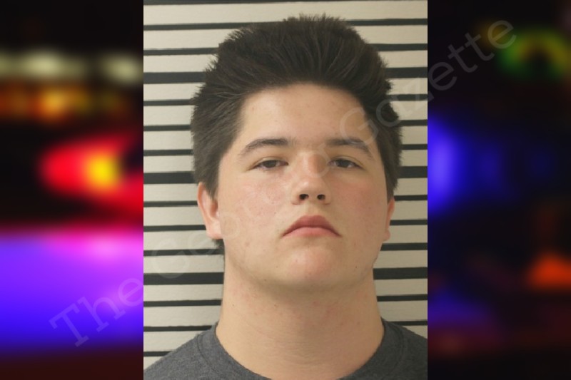 Camden Line Toombs County