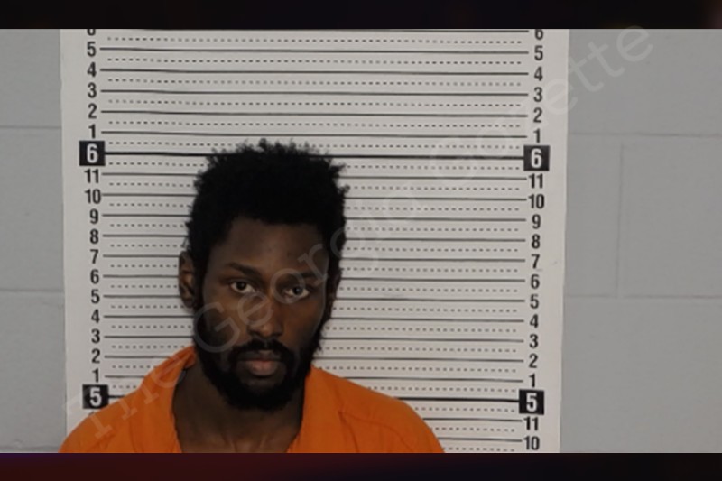 Travis McGhee — Rockdale County Jail Bookings