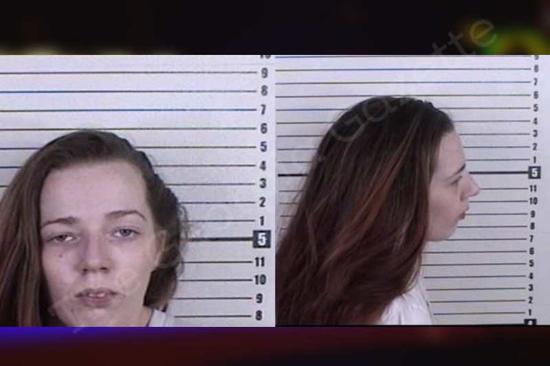 Bryanna Porter Camden County Jail Bookings