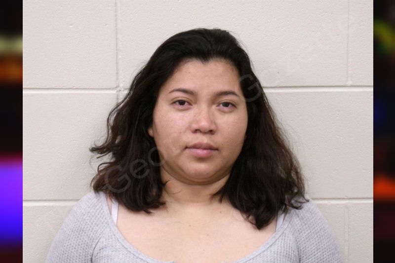 Alma Reyes Bulloch County Jail Bookings