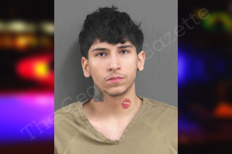 Mason Reyes Gordon County Jail Bookings