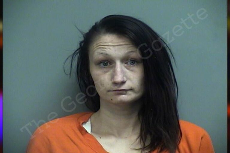 Erica Smith | Effingham County Jail Bookings