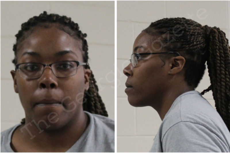 Crystal Townes Houston County Jail Bookings