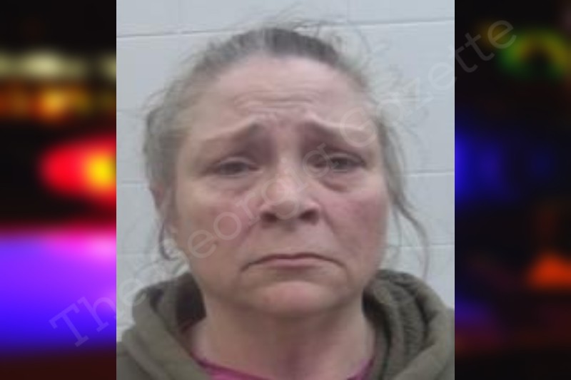 Lois Waters Screven County Jail Bookings