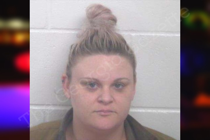whitney webb investigative journalist - Image 3