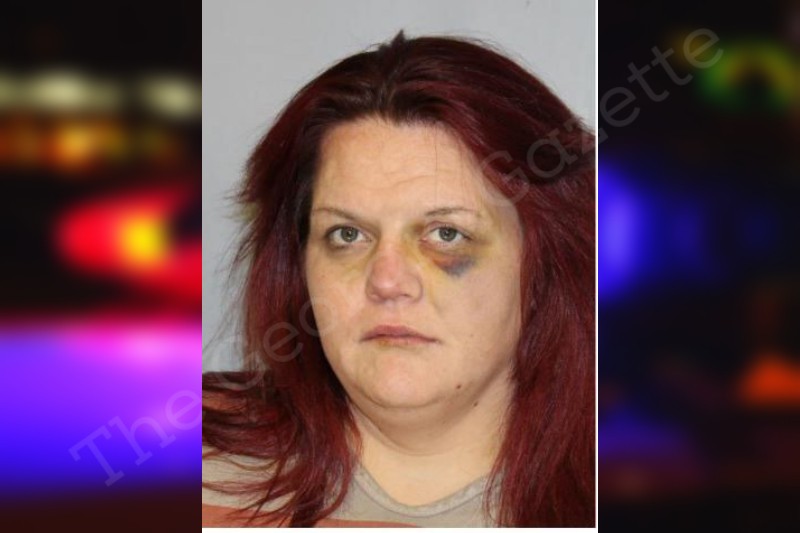 Candis Adams Hall County Jail Bookings