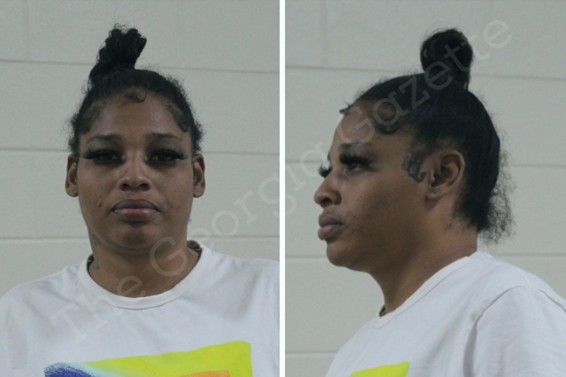 Ashley Anderson — Houston County Jail Bookings