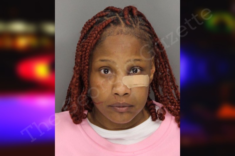 Tracy Brown Cobb County Jail Bookings