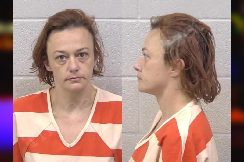 Candace Ballew | Paulding County Jail Bookings