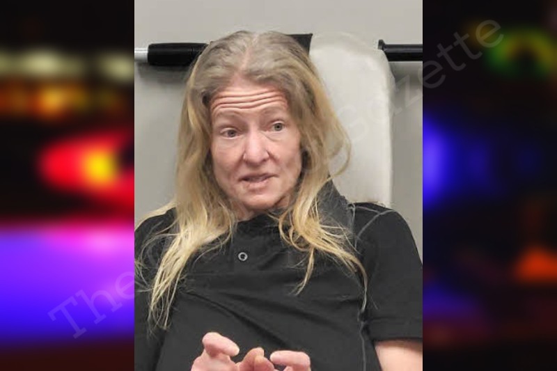 christy-fannin-banks-county-jail-bookings