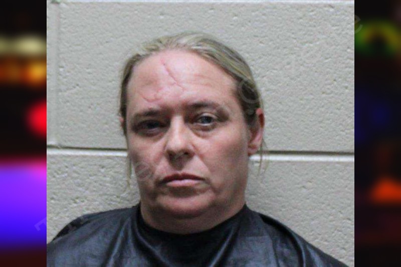 Kimberly Cook — Haralson County Jail Bookings