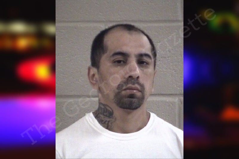 Medardo Castro — Whitfield County Jail Bookings