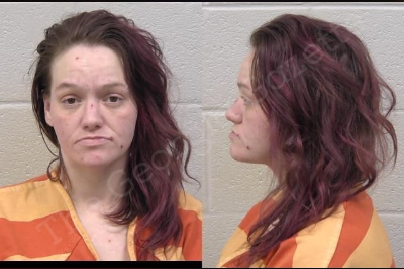 Kathleen Davidson Paulding County Jail Bookings