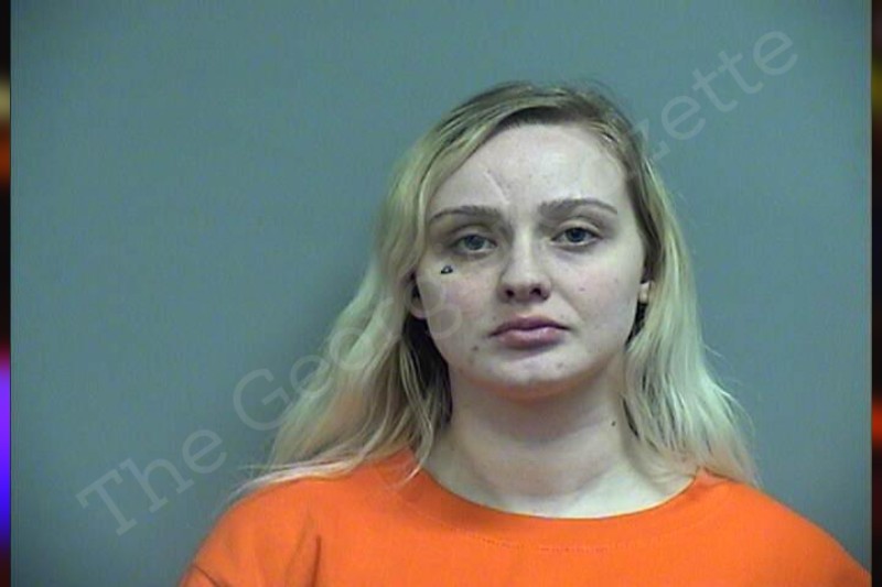 Alexis Davis - Effingham County Jail Bookings