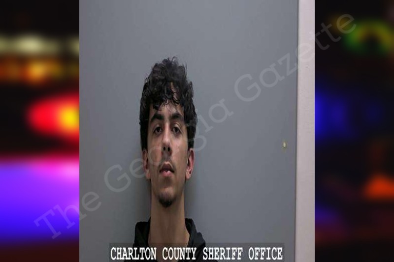Grayson Dixon Charlton County Jail Bookings