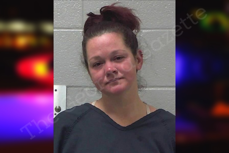 Joanna Driver - Gilmer County Jail Bookings