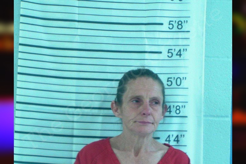 Jenny Emanuel Stephens County Jail Bookings