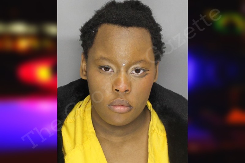 Empress Gray — Cobb County Jail Bookings