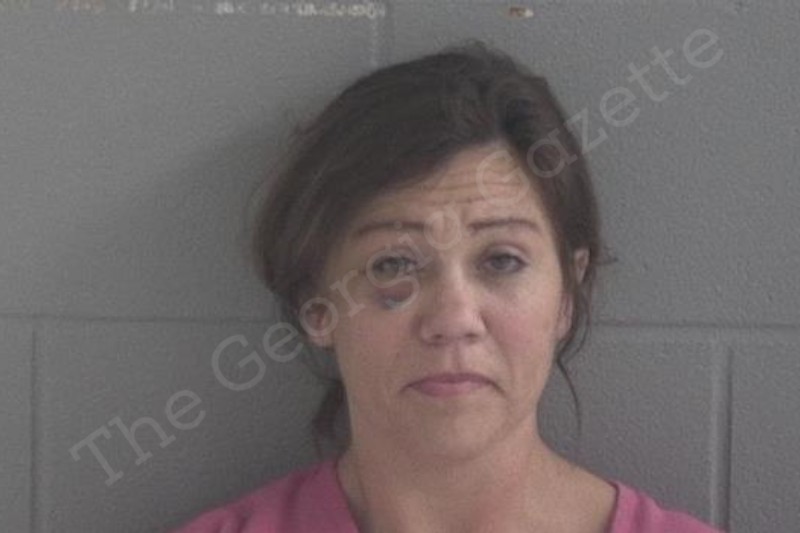 Jennifer Harding Brantley County Jail Bookings